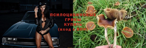 экстази Осинники