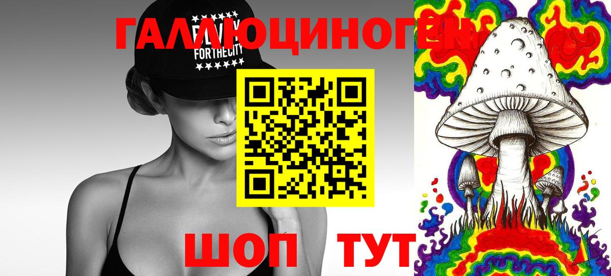 Псилоцибиновые грибы Psilocybe Кушва